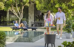 Cool Bars><noscript><img width=