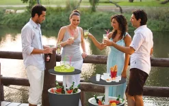 Cool Bars><noscript><img width=