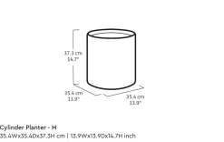 Planters><noscript><img width=