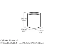 Planters><noscript><img width=