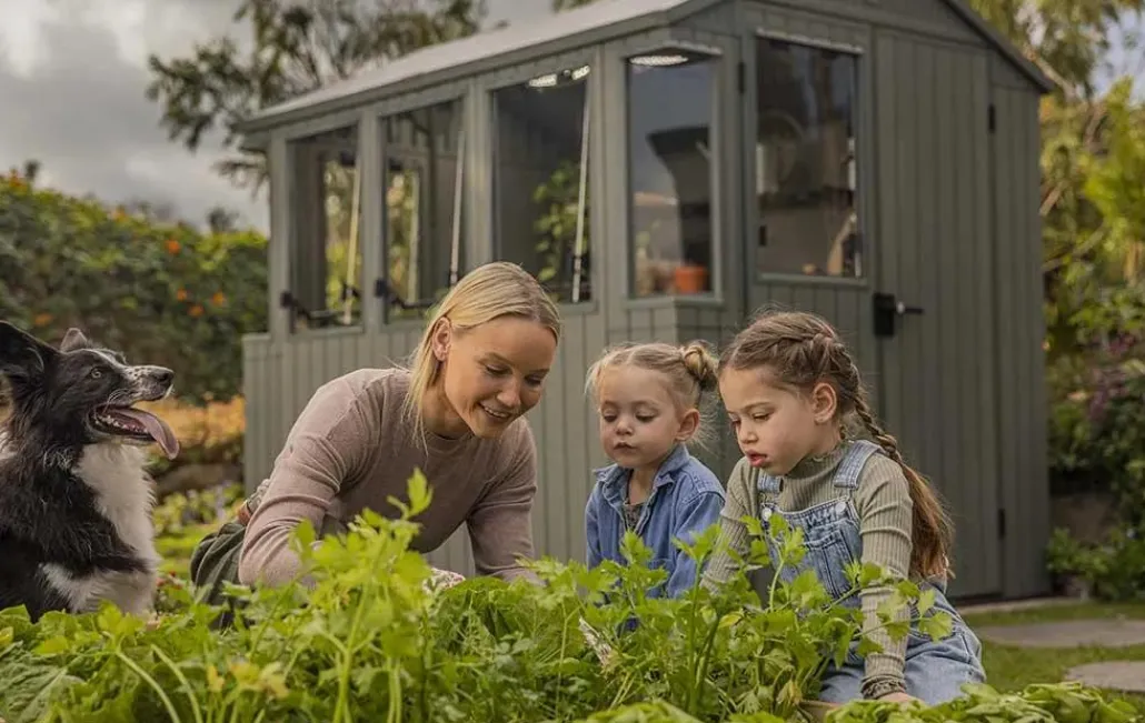 Medium Sheds>Keter Darwin 6x8 Potting Shed - Green