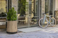 Planters><noscript><img width=