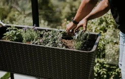 Garden Beds>Keter Splendor 31.7 Gallon Elevated Garden Bed - Brown