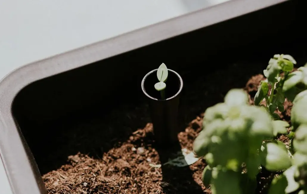 Garden Beds>Keter Splendor 31.7 Gallon Elevated Garden Bed - Brown