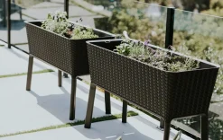 Garden Beds><noscript><img width=