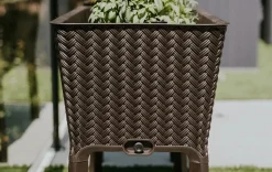 Garden Beds><noscript><img width=