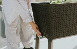 Garden Beds><noscript><img width=