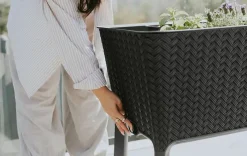 Garden Beds><noscript><img width=