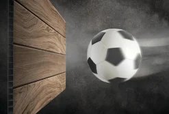 Large Sheds><noscript><img width=