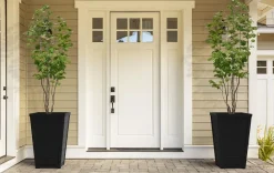 Planters><noscript><img width=